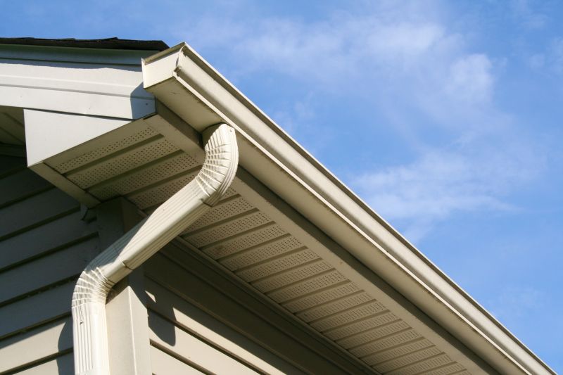 House Eaves Repair