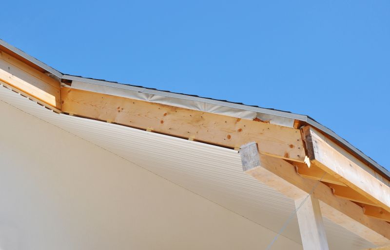 House Eaves Repair