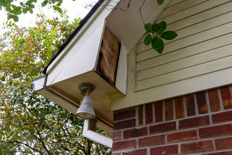 House Eaves Repair