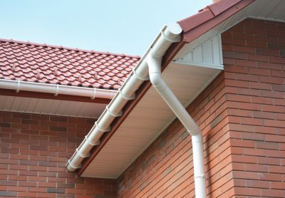 Prevent Rot and Insect Infestation with Eaves Repair!